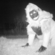 Imagen para el artículo titulado Instalan una cámara trampa para cazar un puma y fotografían dos gorilas, al bigfoot y a Santa Claus